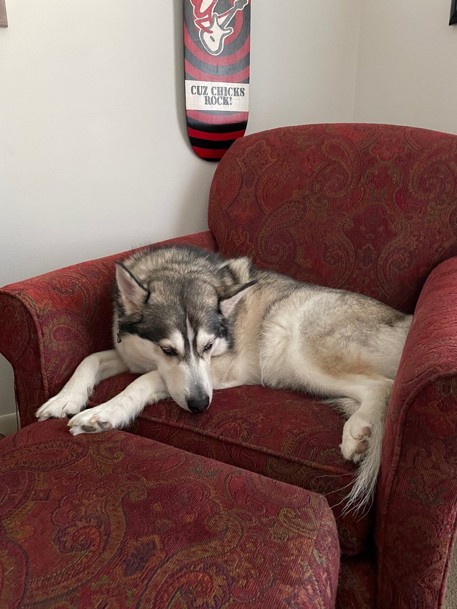 Madalyn Sklar tweet media