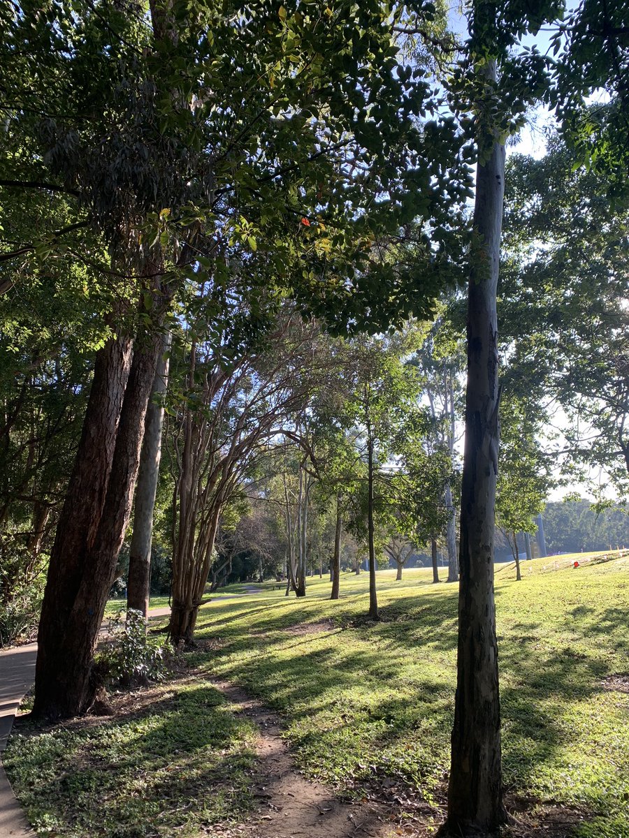 n_hull22's tweet photo. @WeAreBrisbane I walked from my kitchen to the office in about ten seconds #wfh #bestcommute this usually follows a 5km walk around my neighborhood with my ridgie #zuri https://t.co/dUJ4tmYylA