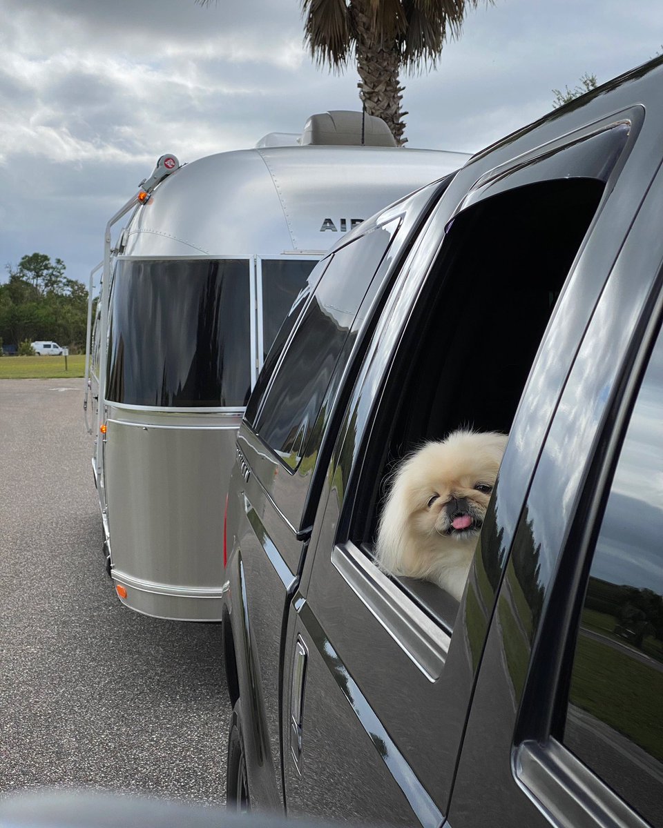 LilCaliGurl's tweet photo. Got Tater (a.k.a Flamingler) packed, gassed and ready go morrow.
.
#floridakeys #caligurl #floridalife  #glamping  #rollingwithmyhomies #airstreamdog #flamingling #flamingler #roadtrip #travelgram #camperlife #airstreamlife #liveriveted #airstream  #airstreamdreams #flyingcloud https://t.co/U256sHO7zl