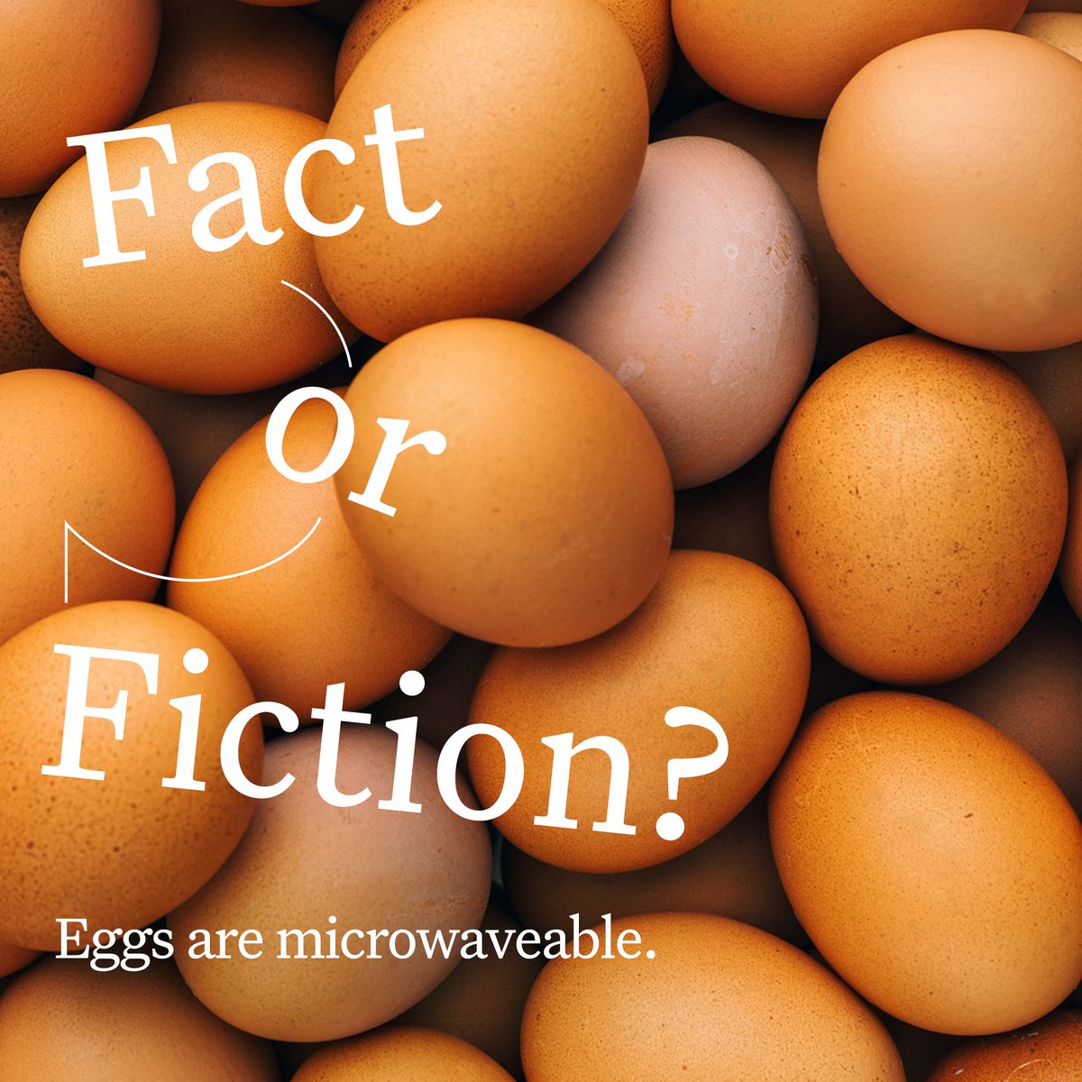 noom's tweet photo. Fact: Poached, scrambled, or fried, it’s a fact you can cook eggs in the microwave. Cooking times may vary, but it’s a quick way to pick up some protein. Ya might want to lose the shells, though and prep ‘em how you like ‘em pre-cooking. 😉 https://t.co/60UyBfB8Vv