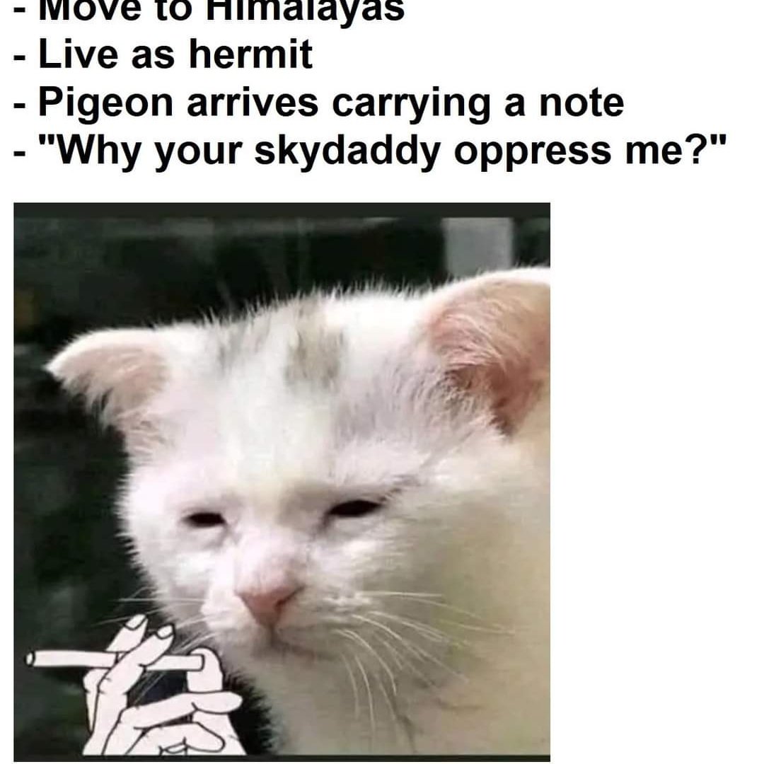 HumansSuckAss's tweet image. The Gospel Jesus is probably just symbolic for humanity in general. It's the best GoD could do. The Catholic church is hiding the true teachings of the real Jesus, who was an Essene that practiced and taught a Hellenistic/Hebrew version of Hinduism &amp;amp; Buddhism. It WAS beautiful.