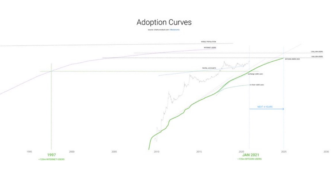 In terms of adoption, Bitcoin has roughly the same users as the Internet had in 1997.

But Bitcoin's growing faster. Next 4 years on current path will bring Bitcoin users to 1b people, that's the equivalent of 2005 for the Internet.