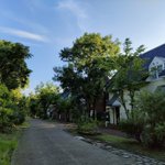 ツイートに含まれる画像