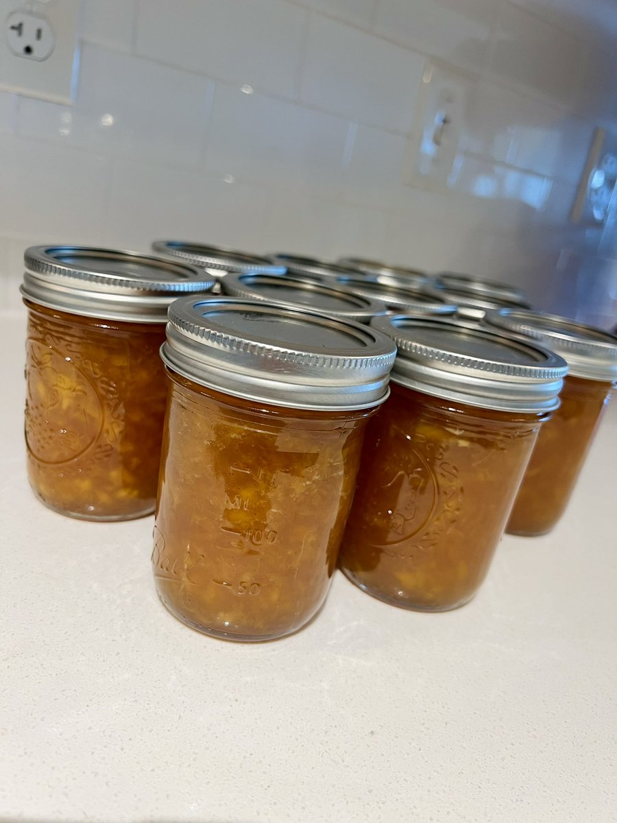 danigjohnston's tweet photo. Spent one of my last few days before rotations making my homemade peach jam! 🍑🫙#MedTwitter https://t.co/hmMz83feCZ