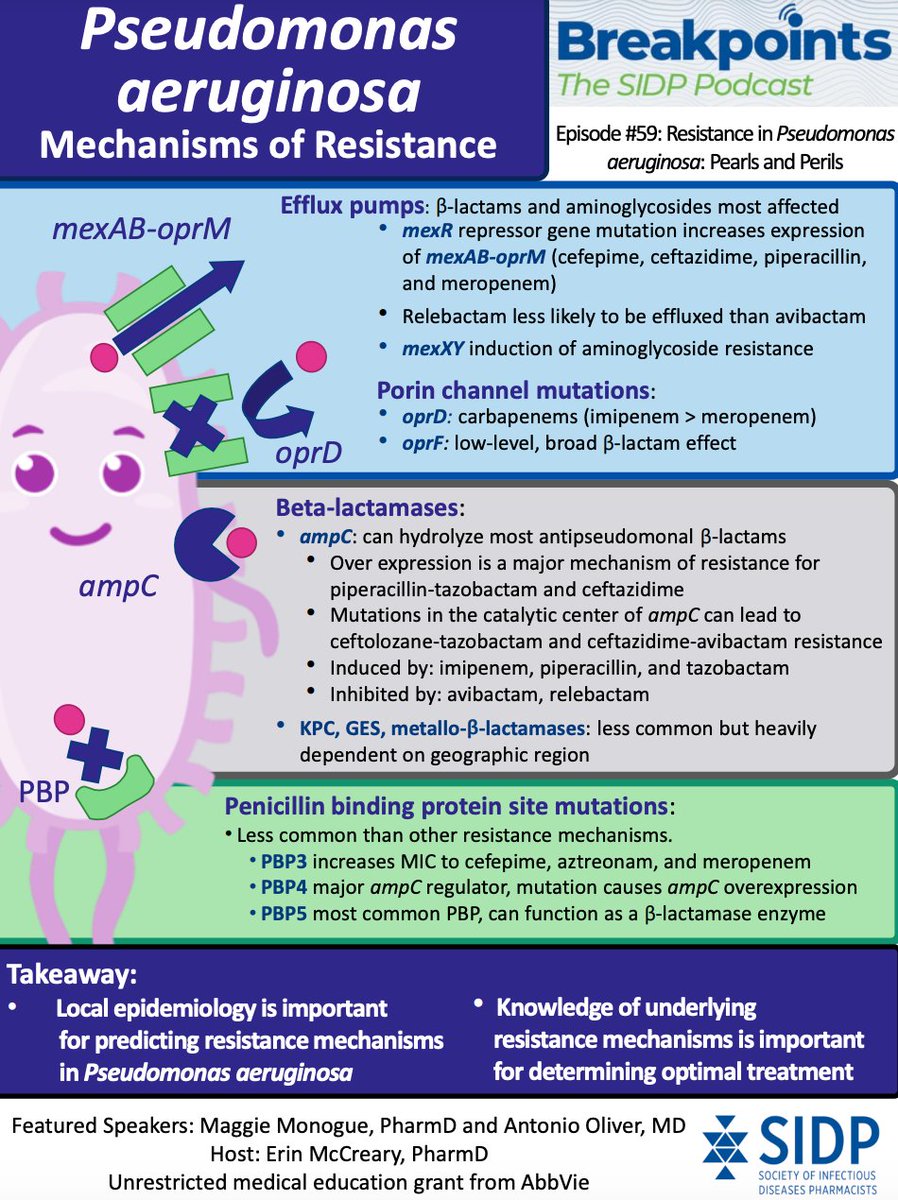 SIDP (@sidpharm) on Twitter photo Pseudomonas resistance is… complicated. Check out this infographic by @littlebugdrug from a recent #Breakpoints episode and tune in to hear @erinmccreary, <a href="/aoliverp73/">Antonio Oliver</a>, and @maggiemonogue discuss every detail. Listen now: sidp.pinecast.co Pseudomonas resistance is… complicated. Check out this infographic by @littlebugdrug from a recent #Breakpoints episode and tune in to hear @erinmccreary, <a href="/aoliverp73/">Antonio Oliver</a>, and @maggiemonogue discuss every detail. Listen now: sidp.pinecast.co
