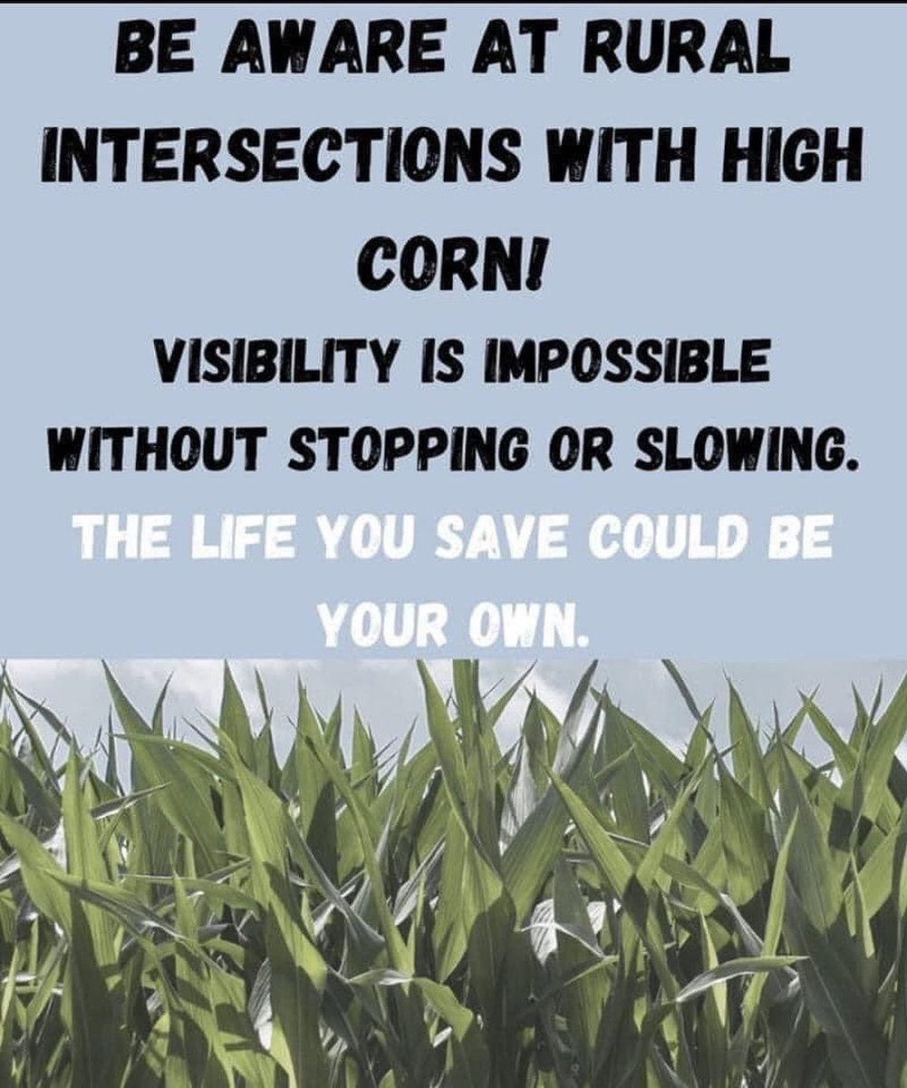 siouxcosheriff's tweet photo. It’s a good time for a safety reminder: As corn hits peak height, please treat every uncontrolled intersection as if you will need to stop quickly https://t.co/uVek8PHXaS