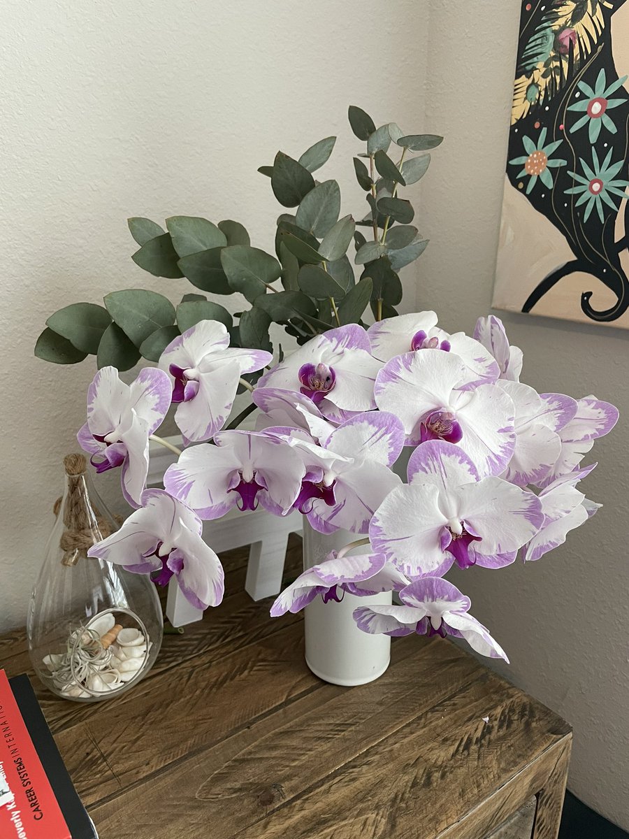 Mia White 🫡💙 tweet media