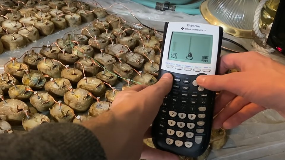 runsdoom's tweet photo. doom running on a calculator powered by potatoes #itrunsdoom https://t.co/RAjMNIDQfu