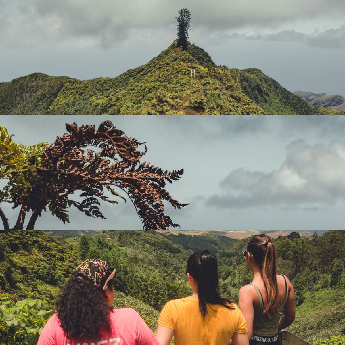 CraigCorky30's tweet photo. The views, the landscapes, all possible on #StHelena but a must visit with friends
#sthelena #islandlife #dianaspeak #photography #postboxwalks #landscapes #travel #travellife https://t.co/tEyQECFuge