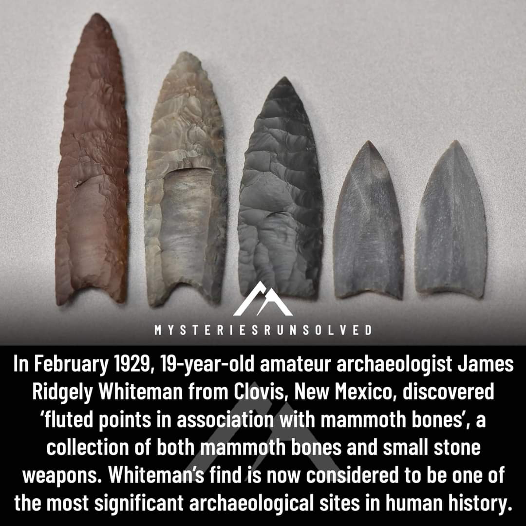 The Real X-Files (@real_files) on Twitter photo 