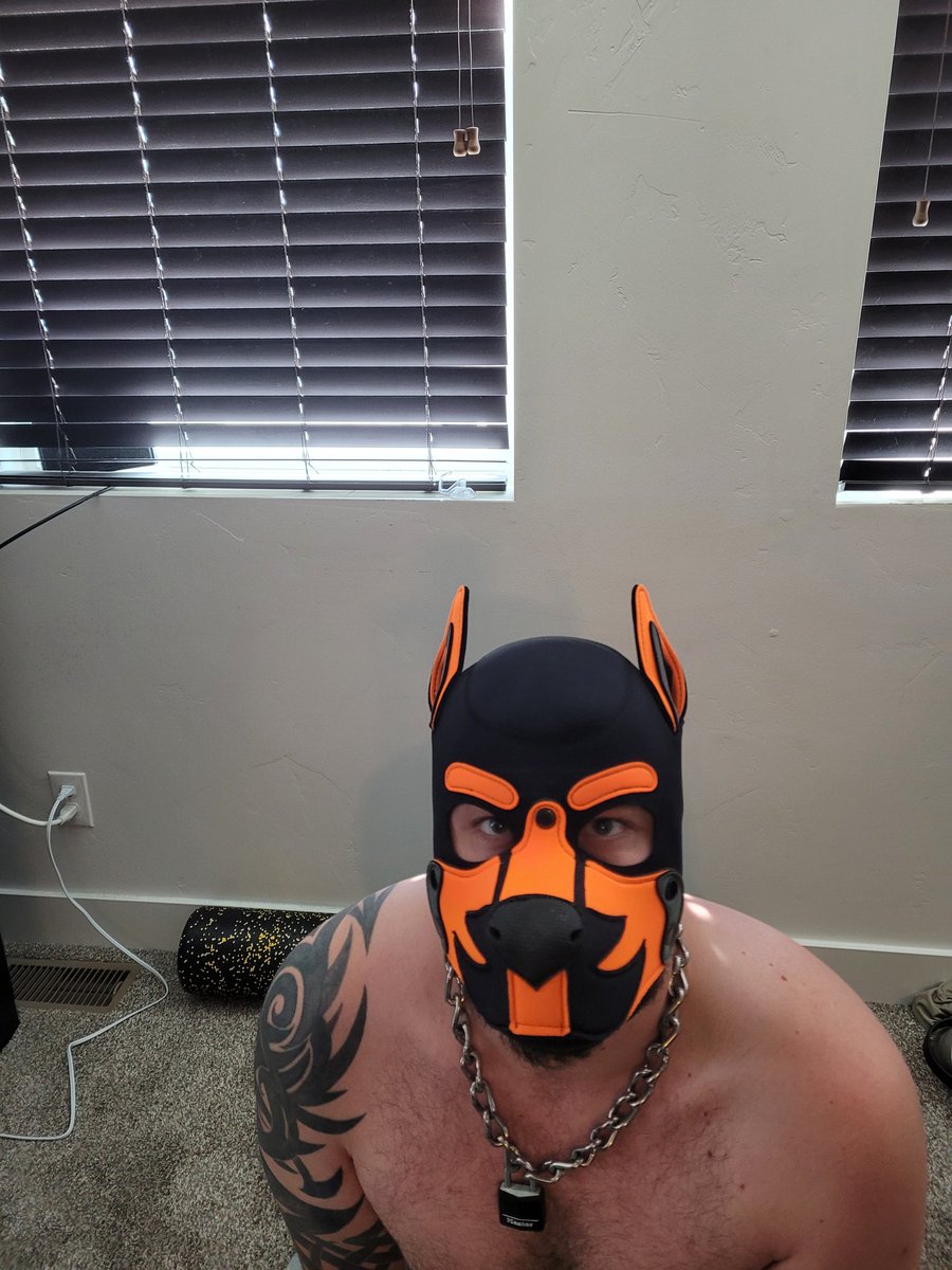PupSabin's tweet photo. Pup is more than a bit horny.... I'm already on my knees waiting for someone to bring me a nice package to sniff and play with 🐶
#gaypup #humanpup #pupplay https://t.co/W3exD42jrf