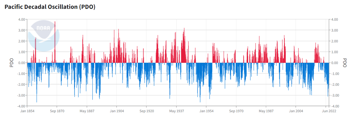 Michael Palmer tweet media