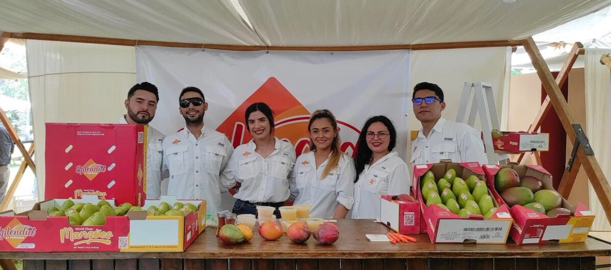 Floridamangos's tweet photo. Mango Festival@Los mioches, Mexico 🥭🥭🥭🥭🥭 https://t.co/mKuHLkl9hQ