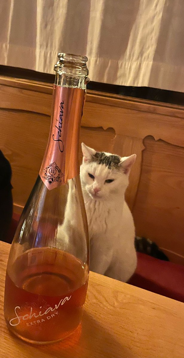 david_hoesl's tweet photo. @MooncatzNFT 0xea6f5a6cc7d3f1ff5813f786016064094e29ce65 little late that’s why we take the booze https://t.co/82NCEDVMFa