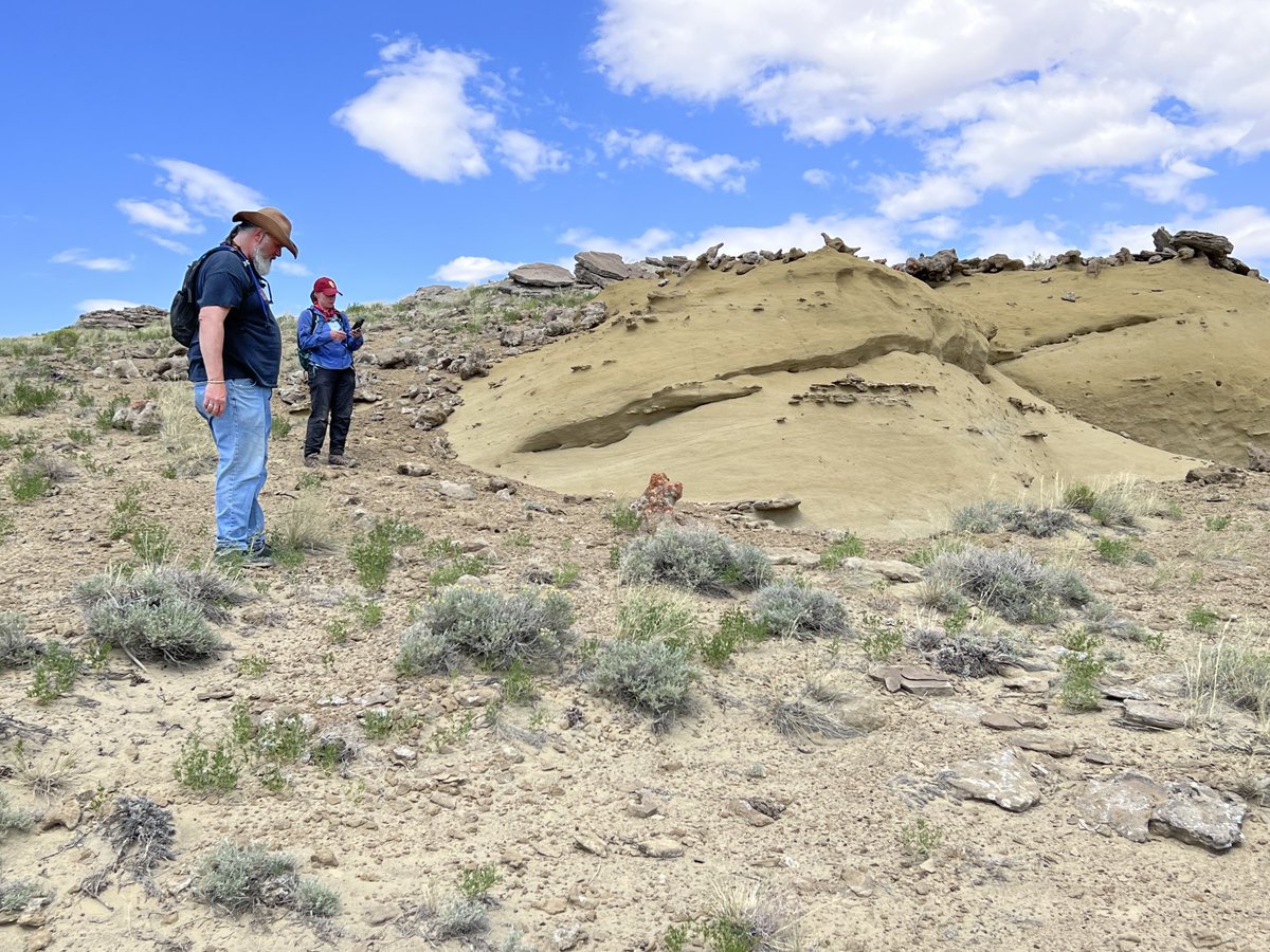 Robert Anemone tweet media