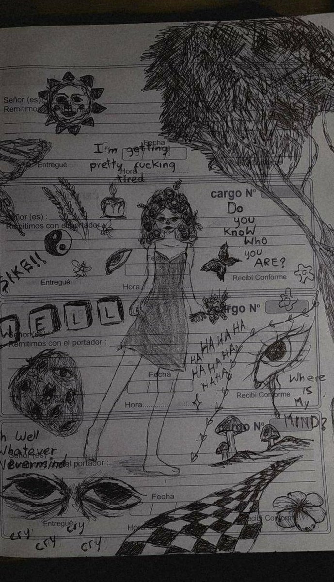 Yo no sé ustedes, pero mis libretas tienen la carátula así