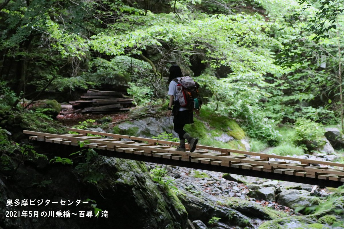 okutamavc's tweet photo. 【#通行止め解除】2021年7月より通行止だった #川乗橋  #百尋ノ滝  #川苔山 が、明日2022年7月21日(木)より通行可能となります。
長らくのご協力、ありがとうございました。
しばらく通行の無かった登山道では、#野生動物 の往来が盛んかもしれません。また最近は落石も多いのでご注意お願いします。 https://t.co/S2Le8fpZI5