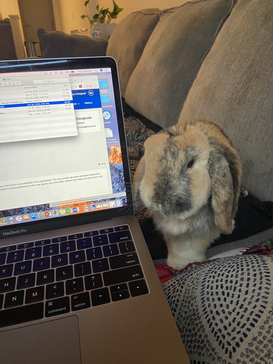 I had Gibby’s help submitting the final part of my application tonight! Good luck to all fellowship applicants this cycle!