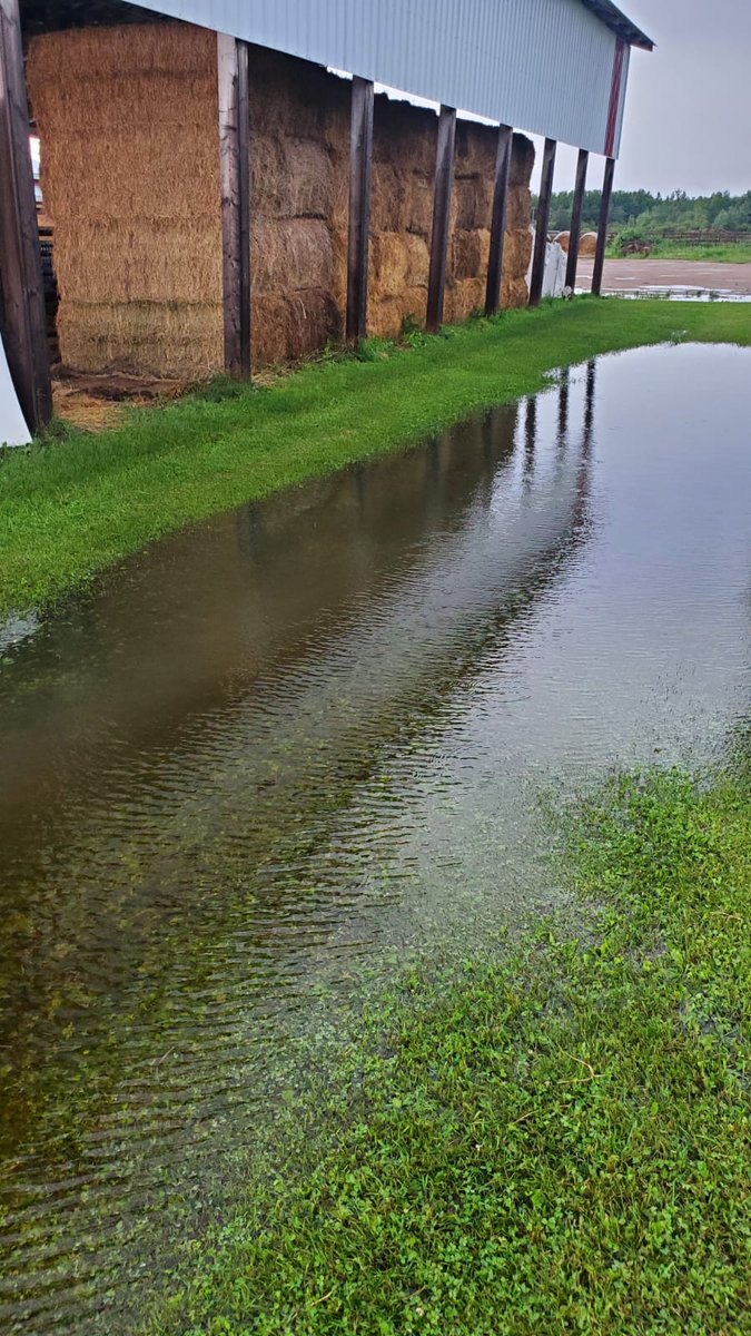 Rich Lane Farms tweet media