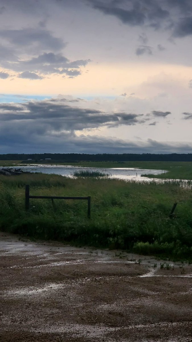 Rich Lane Farms tweet media