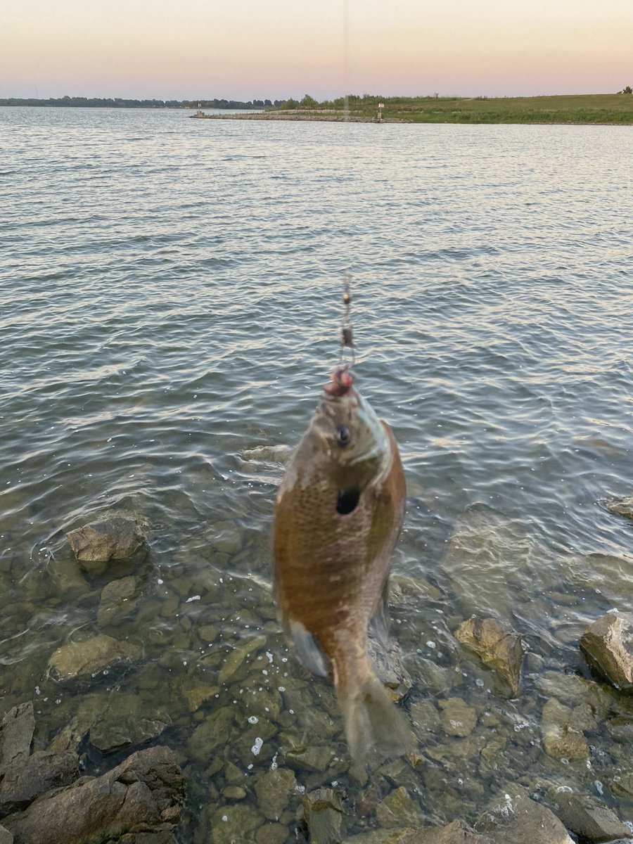 Haha Got em! #fishing #summer