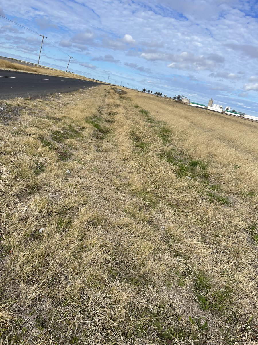 Prof (Weed Science) Bhagirath Chauhan tweet media