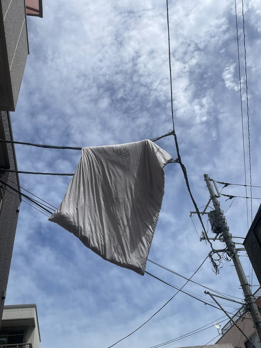 きなこ (@onikinako) / Posts / X