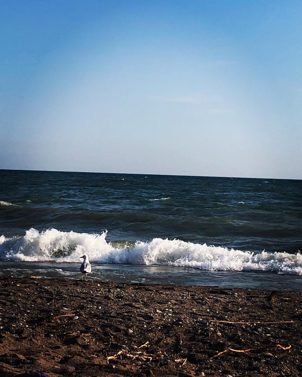 Baileyd63's tweet photo. @JennArndt @accordingtomio @smmcconn Y’all inspired me to up my adult game…. Did an after-work beach run. Definitely a good decision https://t.co/e3CVEsNkGG