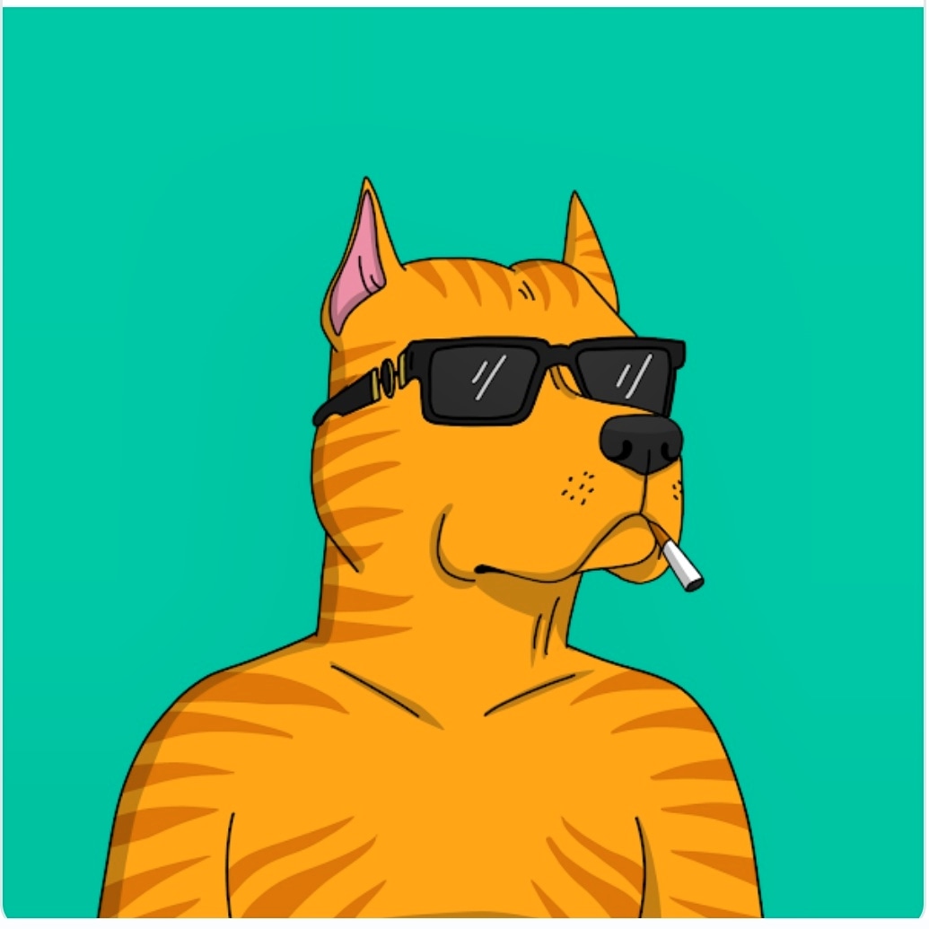 Gang gang!!! #GutterCatGang <a href="/thetournament/">TBT</a> 
LFG!!!!