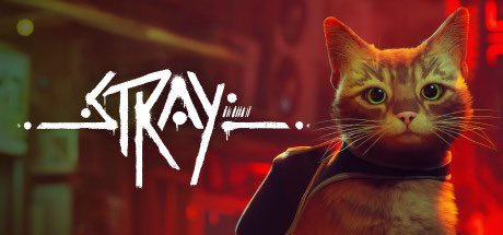 xavconstantin's tweet image. I’m so excited to finally play #Stray tonight! ✌️😻