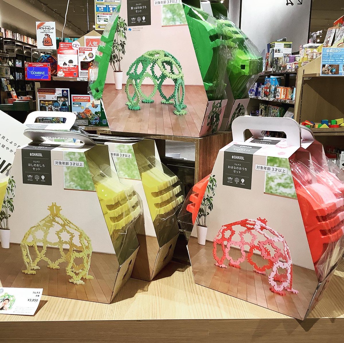 TSUTAYA_ctgifu's tweet photo. 新しい知育玩具が
仲間入りしましたよ🌟
可愛いツリーが目印🌲✨
#シャオール #SHAOOL
できる限りシンプルでありながら、工夫次第で遊びが広がる🧸✨
安全品質がよく安心して遊べます😌🤍
色合いもキュート🥰
#カラフルタウン #知育玩具 https://t.co/bgGp3DUjK6