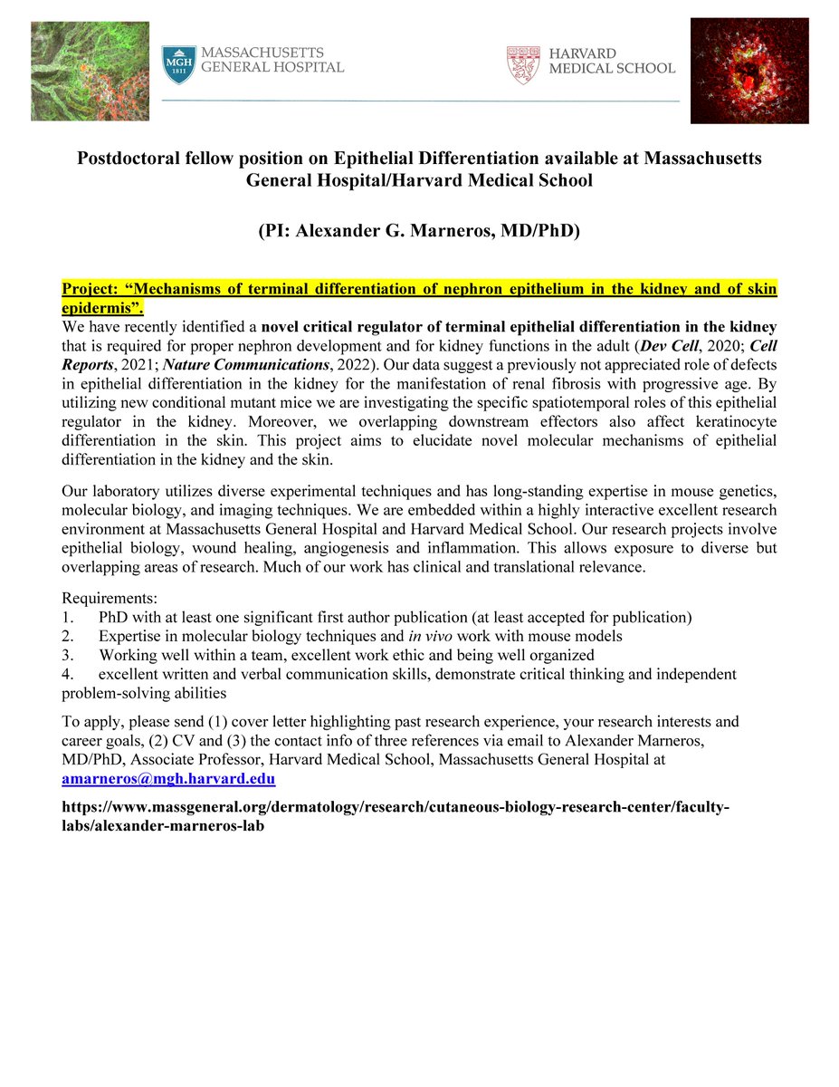 Marneros Laboratory tweet media