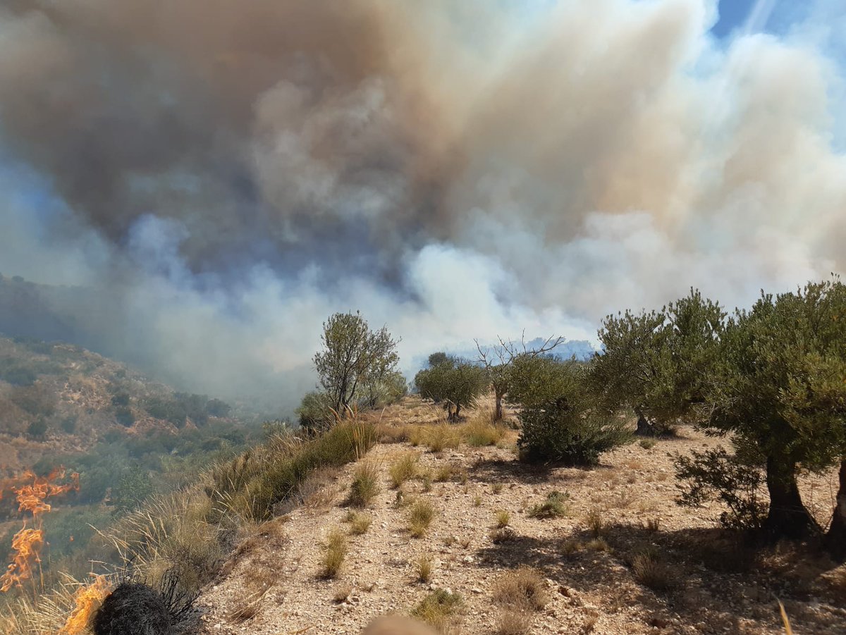 EduMedinaL's tweet photo. A dormir y en 12 horas volvemos. Flanco izquierdo muy largo y sin acceso a autobombas.hemos trabajado en el #IFChiloeches. Y toda la tarde sin quitarle ojo al #IFValdepenasdelasierra mucha fuerza a todos los compañeros! La noche va a ser larga. https://t.co/n3hKeWG6iu