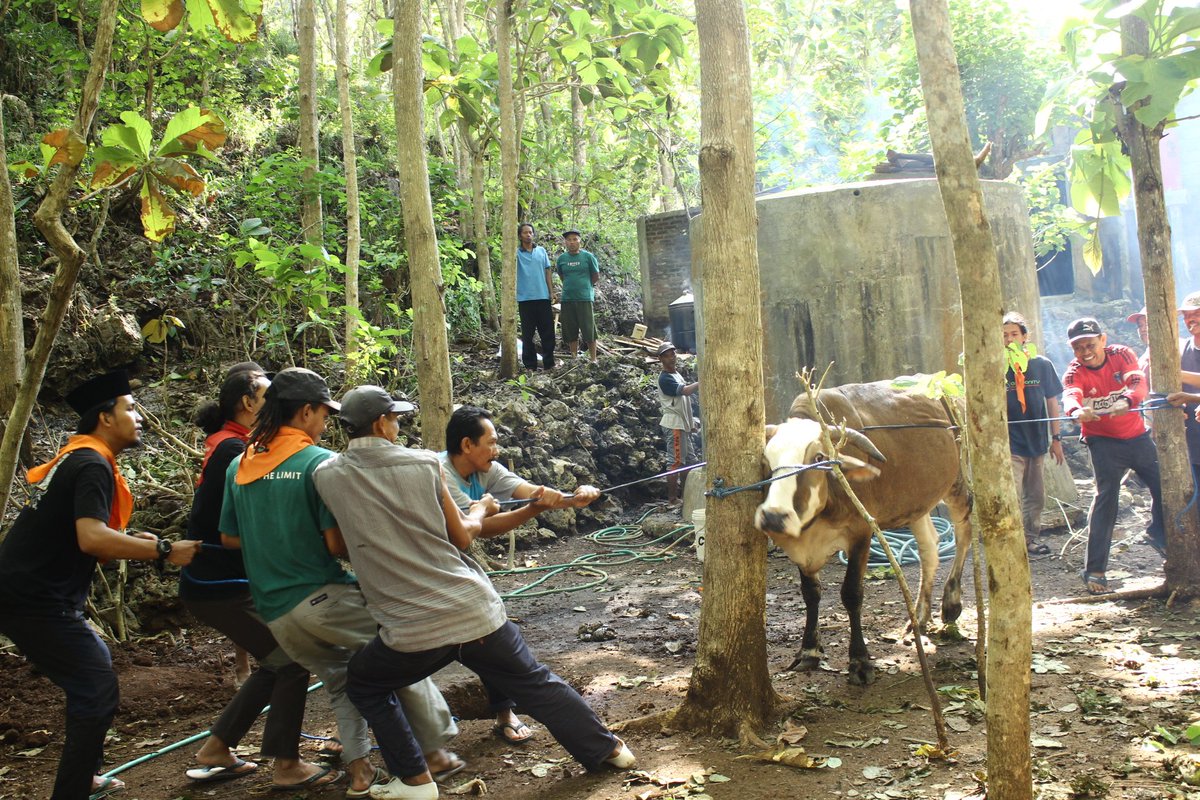 MALIMPA's tweet photo. Assalamualaikum Wr. Wb

Alhamdulillah dalam memperingati hari raya Idul Adha 1443 Hijriyah,  MALIMPA bisa menyalurkan hewan kurban di Dusun Duwet, Desa Purwodadi, Kecamatan Tepus, Kabupaten Gunungkidul. 
... https://t.co/ZoAGfL0CGW