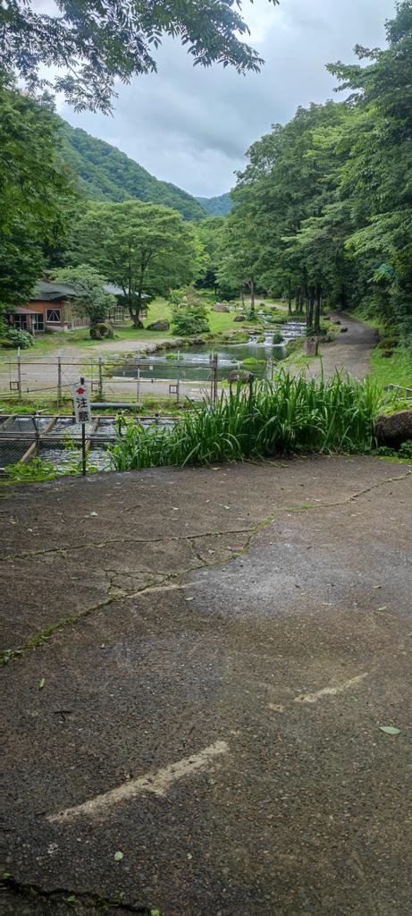 モンスターニジマス とんでもないのかかった 渓流釣りに思わず行きたくなるマニア必見の渓流釣り関連動画 情報を厳選 渓流釣り女子も必見