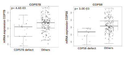 Myeloma_Doc's tweet photo. #Myeloma Paper of the Day: Loss of COP9-signalosome genes at 2q37 may be associated with #Revlimid and #Pomalyst resistance in multiple #myeloma: https://t.co/QA4MJM1IS3. #mmsm https://t.co/E2FoR9t1yB