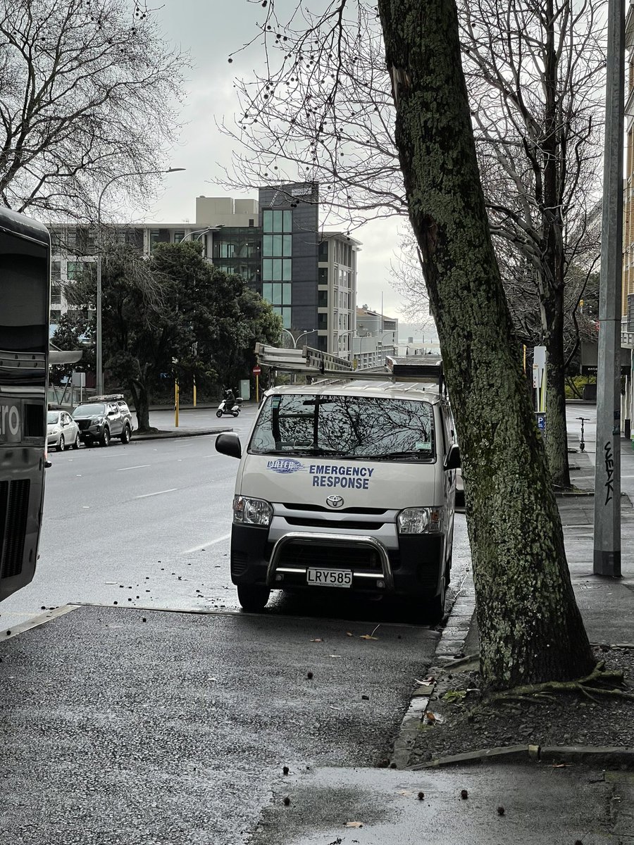 Hobson St 2022. If the creation of these bus stops doesn’t tell you this street could easily go on a permanent road diet rn then nothing will