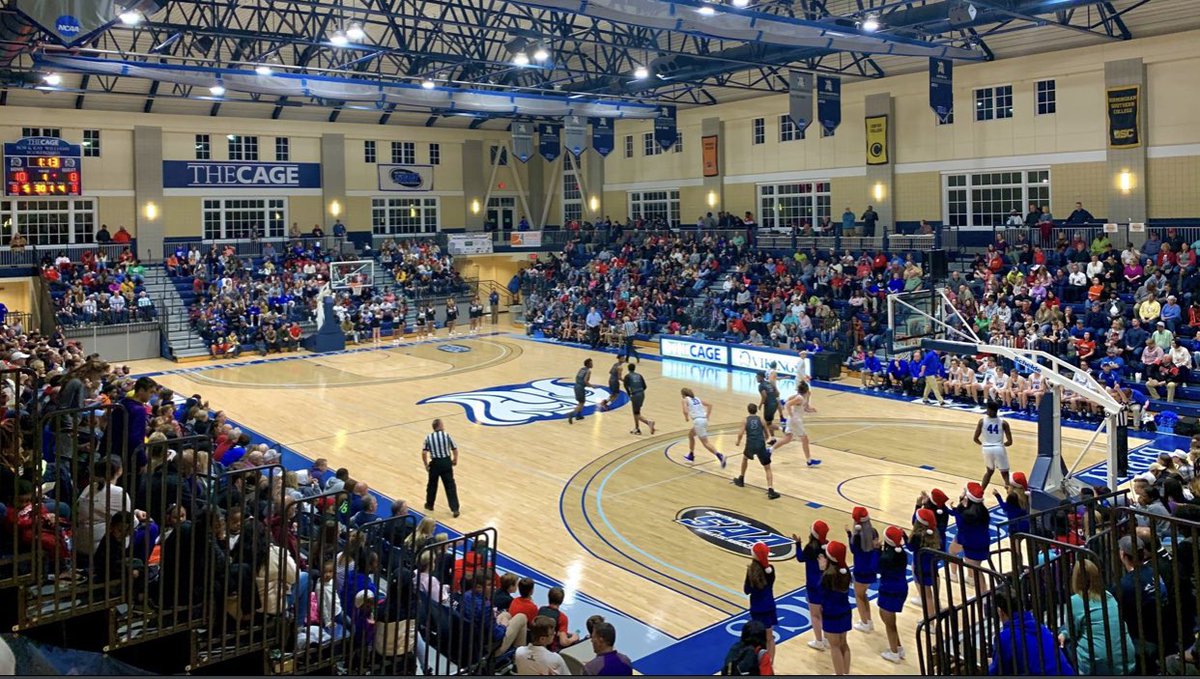 cali smallwood tweet media