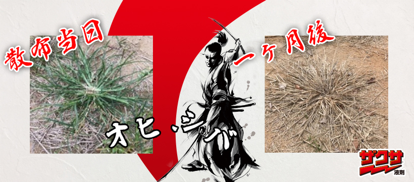 ザクサ液剤 公式 Zaxaekizai Twitter ザクサ液剤 公式 Zaxaekizai Twitter