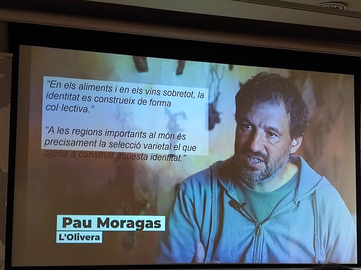 WINEBLACK2's tweet photo. L' @incavicat i la @DO_CostersSegre recuperen la varietat #trobat conjuntament amb 10 cellers Lleidatans, buscant la seva identitat amb aquesta varietat quasi extingida. https://t.co/nLmw1QhIyA