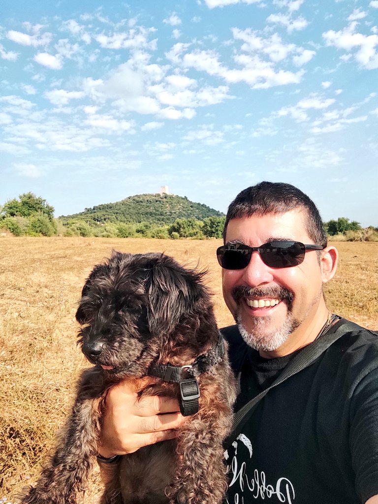 Falduko Bratt Pitt (i collons). Salva tweet media