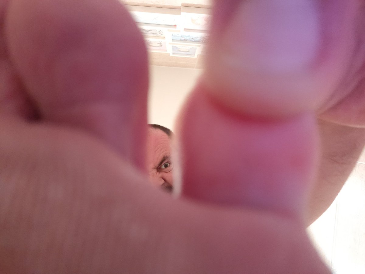 9:00 Empiezo hoy con el mindfulness: sentir la hierba bajo tus pies, estar presente, vivir aquí y ahora. 

9:05 Me pica, bajo el meñique, una avispa.

9:27 Llevo 22' intentando sacar una foto donde se vea la picadura y nada, está justo en el pliegue.

9:30 Mindfulness día 1 ✅