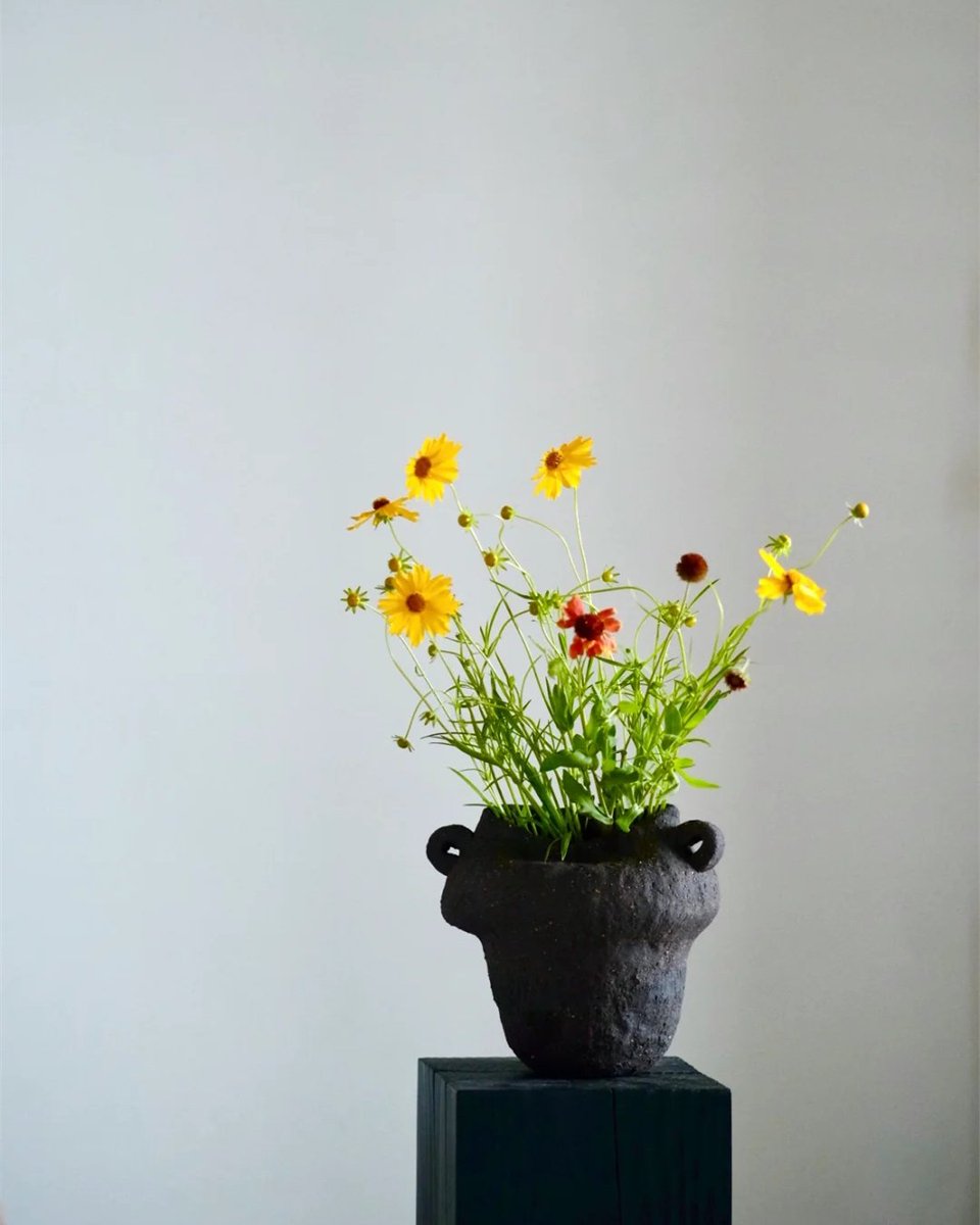 emartus_inc's tweet image. 📸Photo by: @emartus_inc
🎞ISO 100
⏳1/400
⭕F:2.8
____________________
#EMARTUS #flower #flowers #nature #photography #flowerstagram #naturephotography #flowerphotography #flowervases #florerosartesanales #flowerarrangement #allkindofflowers #cosmos #cosmosflower