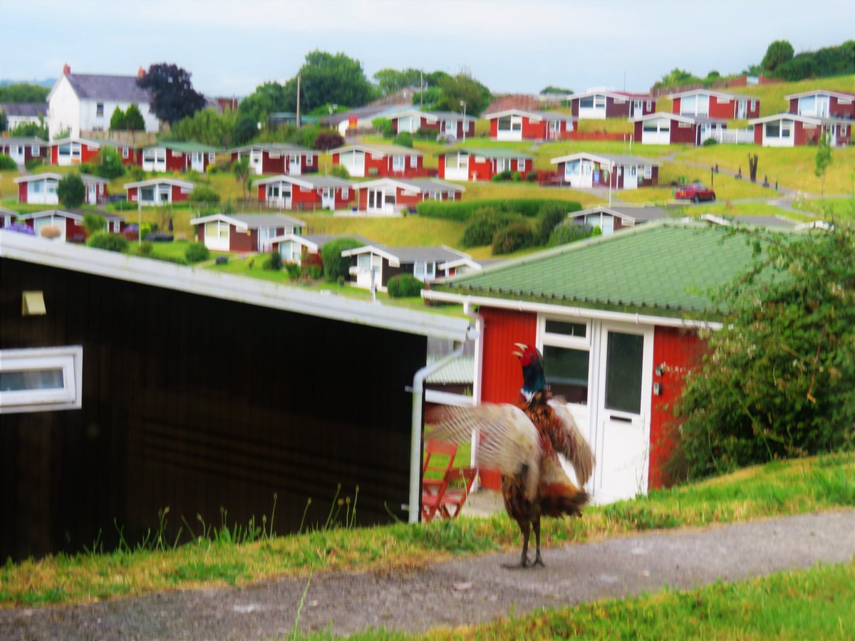Master of all he surveys

High atop this granite edifice
overlooking panoramic majesty
he stands amid the wonder
and the pure edification
of his latest conquest

Or Phil waking us all up this morning