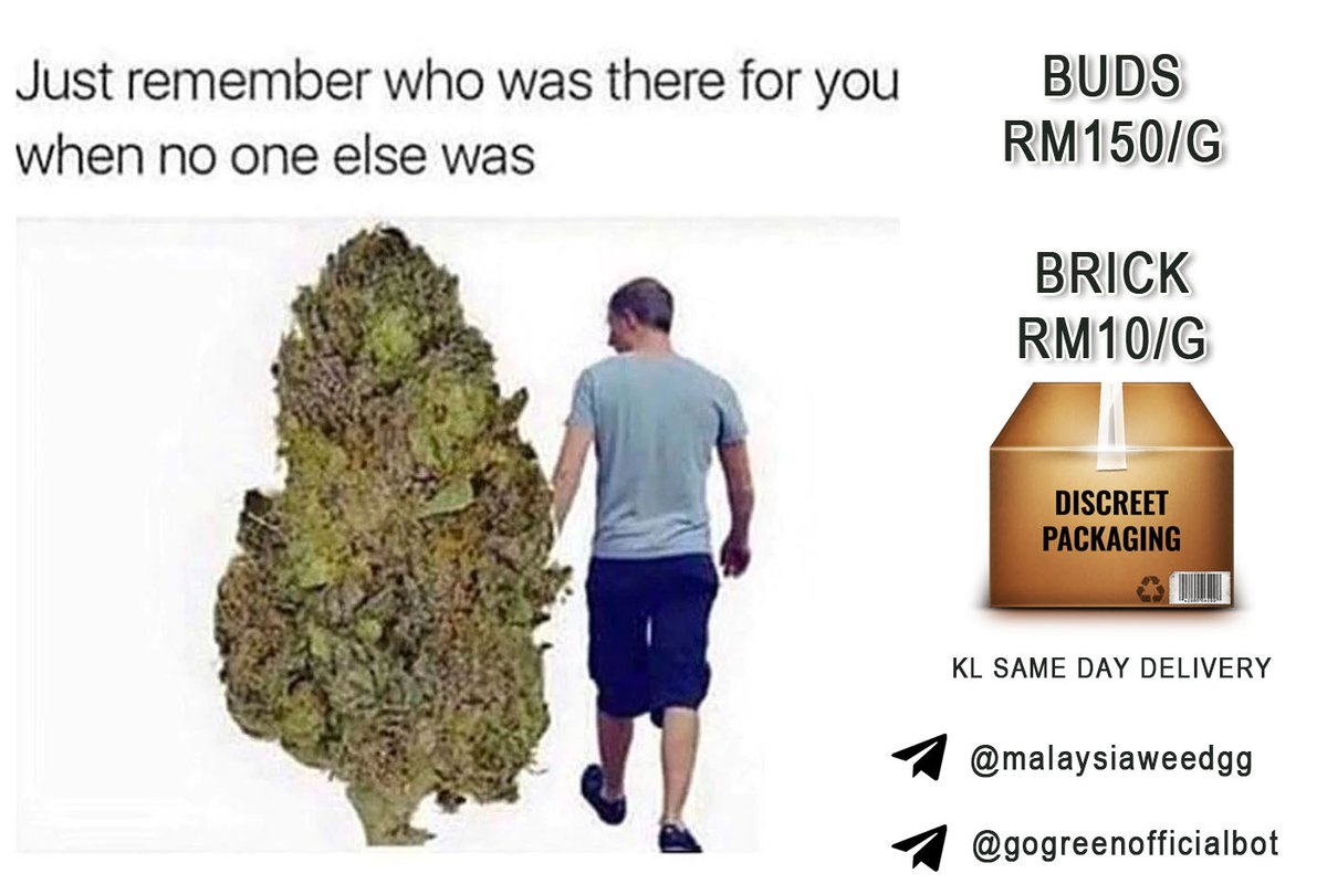 GoGreenMY420's tweet photo. Go Green will always be with you! Who else needs the medication? Hit us up, quality and efficiency guaranteed! You will never go through dry season or out of stock if you have Go Green! LINK : https://t.co/ctHwXe0uLD    #malaysiaweed #ganjamalaysia #klweed #malaysia420 https://t.co/tXTrhPJtr0