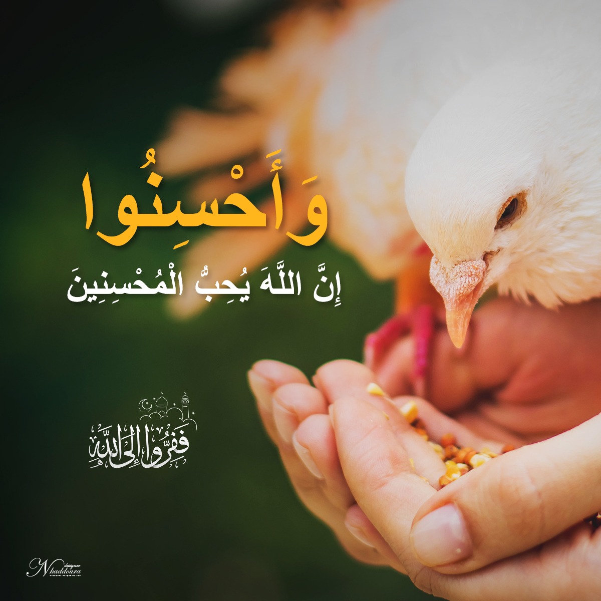NaderKaddoura2's tweet photo. #وأحسنوا https://t.co/CO40O9HX34