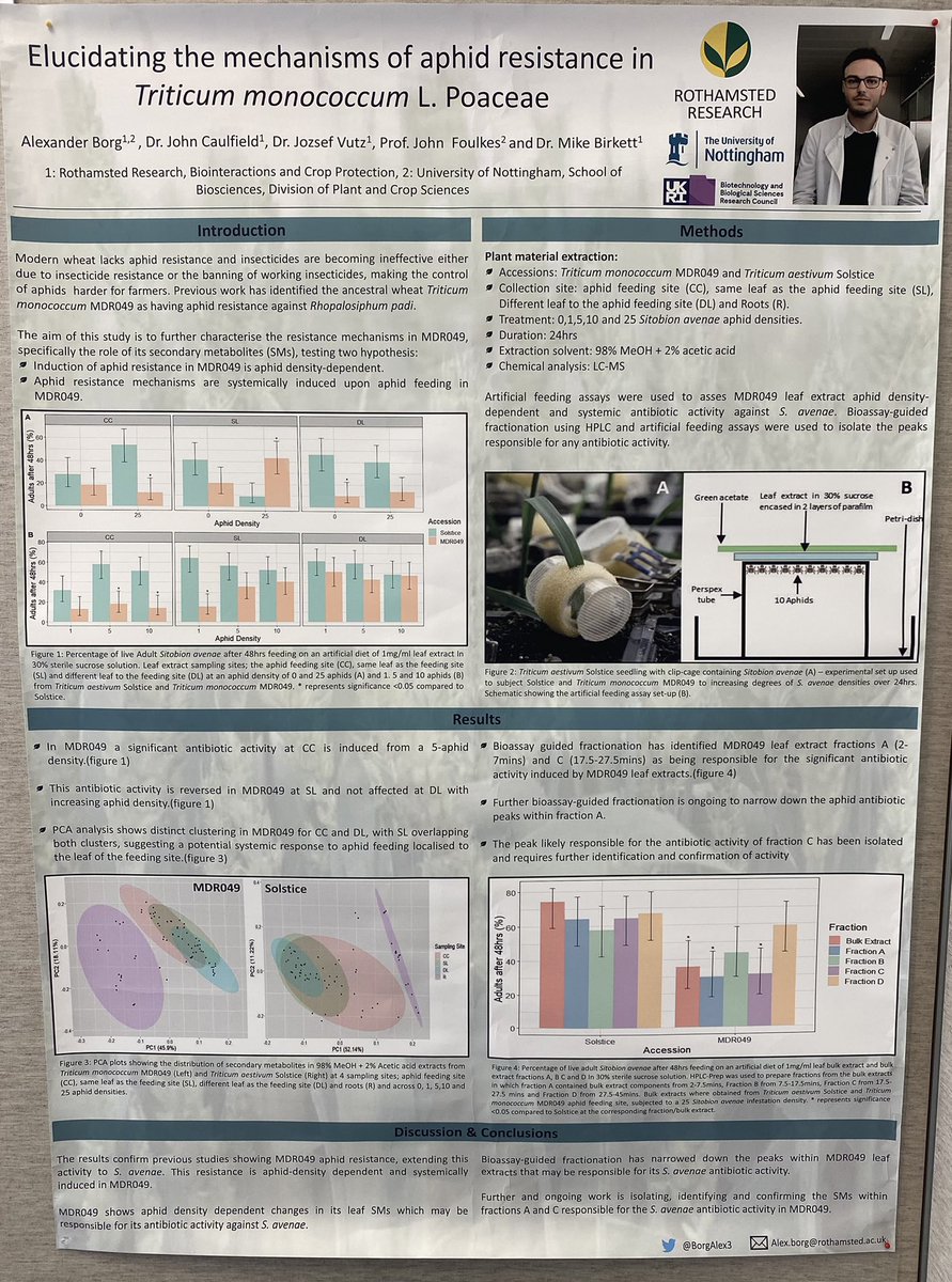 If you’re at #ICE2022 and are interested in #chemicalecology and #plantresistance to #aphids in #wheat come check out my poster P368! I’ll be there for questions/discussions from 15:30-18:00! 🌾🪲 #phd #PhDlife