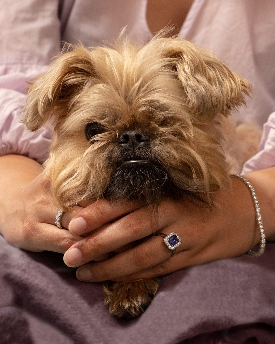 Village Goldsmith tweet media