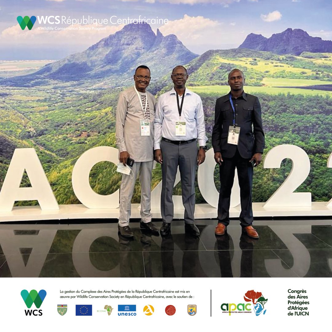 WCS_RCA's tweet photo. L'équipe @TheWCS #RCA est présente au Congrès des Aires Protégées d'Afrique #APAC2022 Aujourd'hui, nous présentons notre expérience au pavillon de #COMIFAC, grâce au soutien de @UEenRCA @ecofac6 @UNESCO #BCChari @LionRecovery @ArcadiaFund https://t.co/B3Tum0UH3L