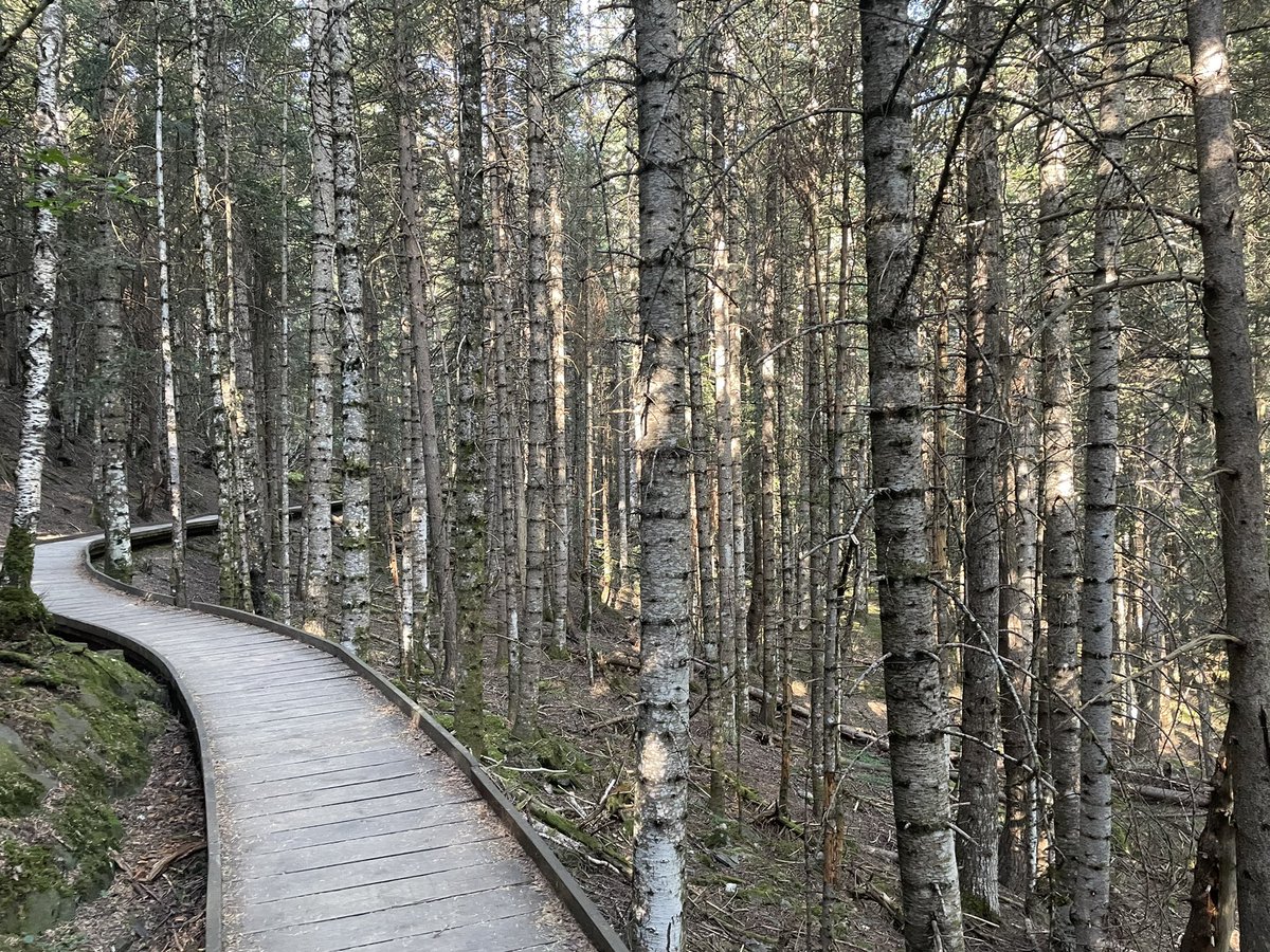 Espot y Parque Nacional de Aigüestortes 🌲

#layton #profesorlayton #espot #aiguestortes #parquenacional #viaje #vacaciones #naturaleza